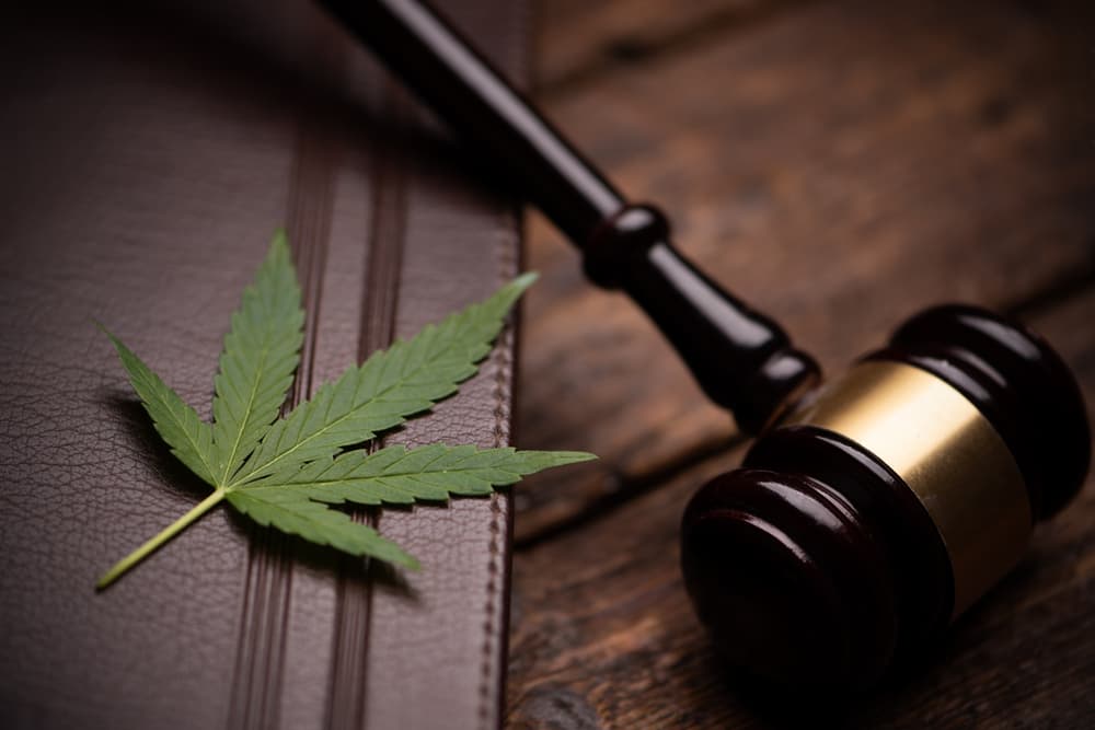 Marijuana Leave and wooden Gavel